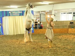 IMG_5199_web